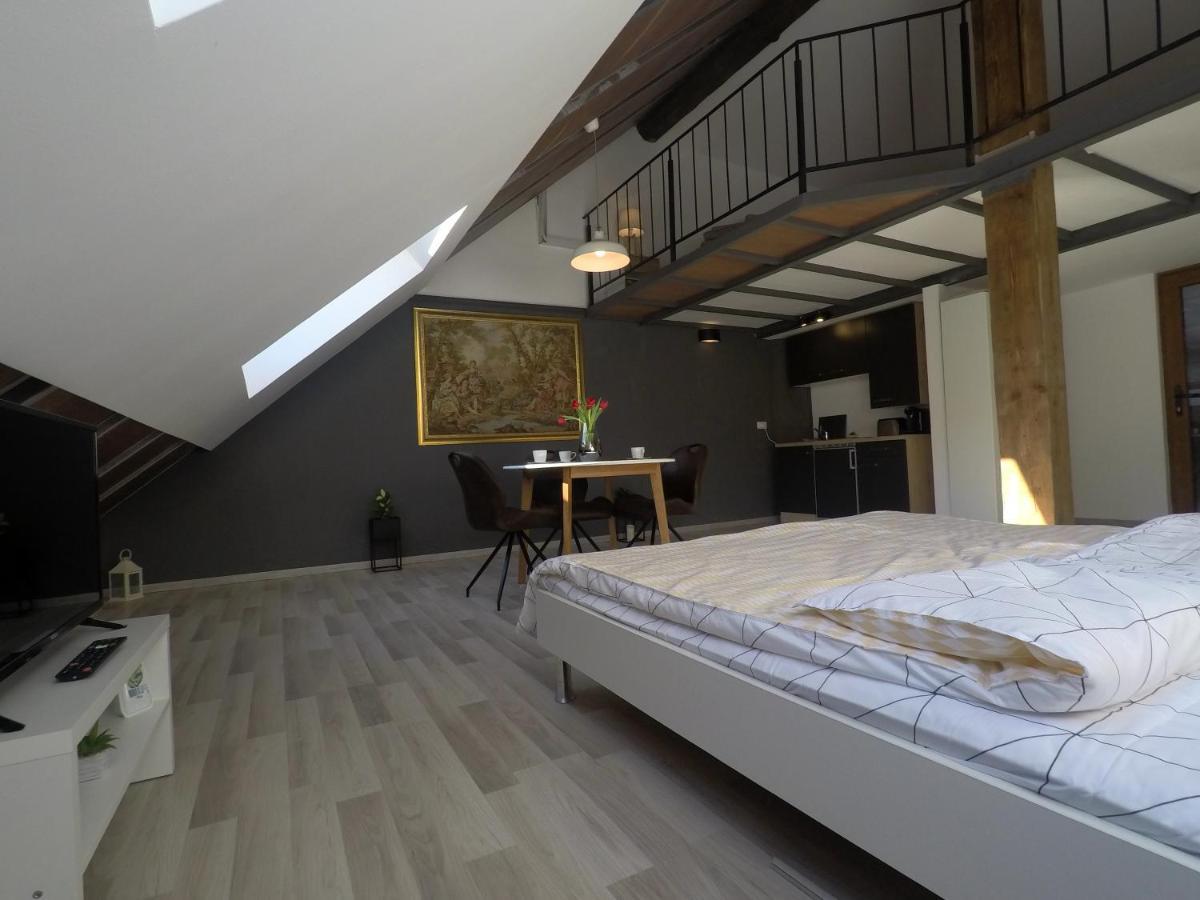 Savoya Nr2 Loft Studio Old City Center Self Check-In Workspace 蒂米什瓦拉 外观 照片