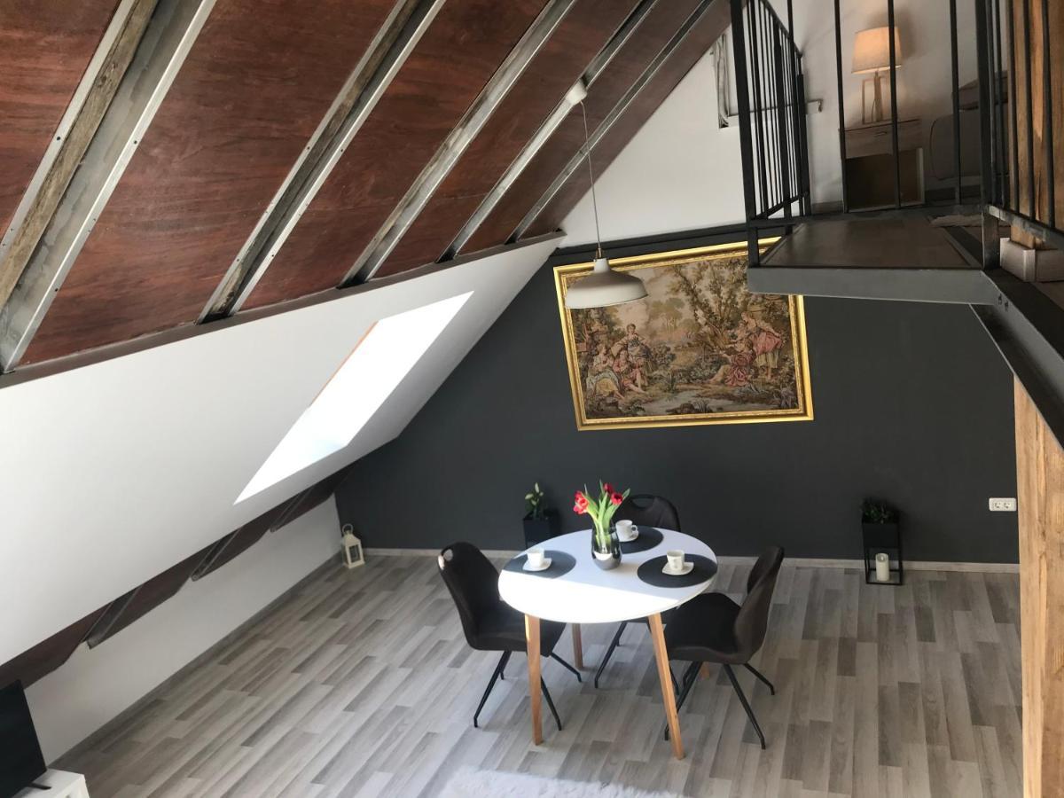 Savoya Nr2 Loft Studio Old City Center Self Check-In Workspace 蒂米什瓦拉 外观 照片