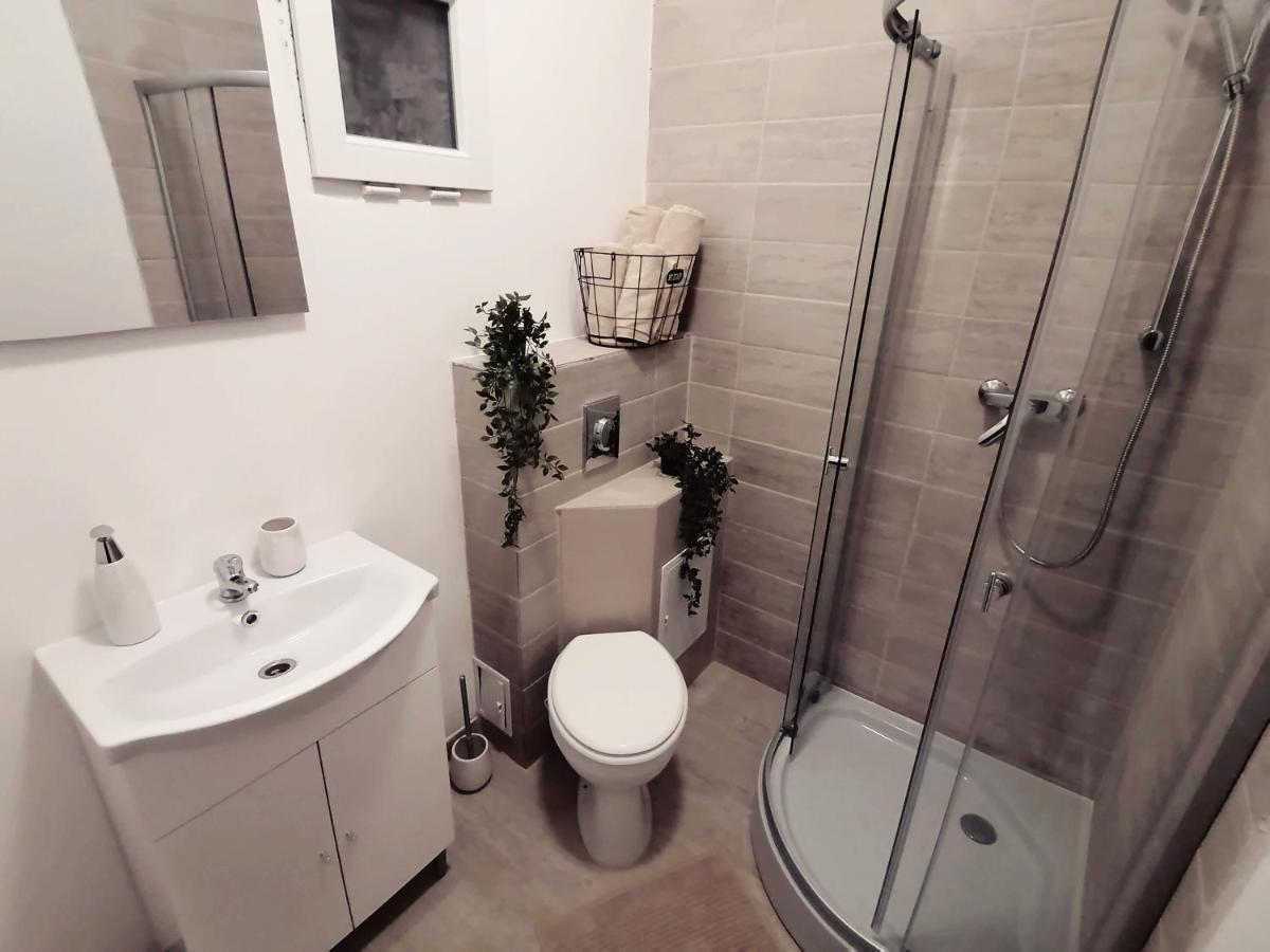 Savoya Nr2 Loft Studio Old City Center Self Check-In Workspace 蒂米什瓦拉 外观 照片