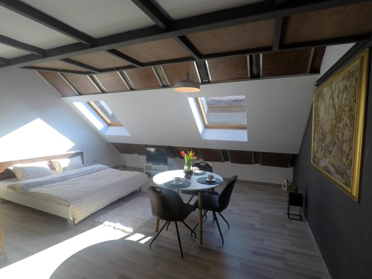 Savoya Nr2 Loft Studio Old City Center Self Check-In Workspace 蒂米什瓦拉 外观 照片