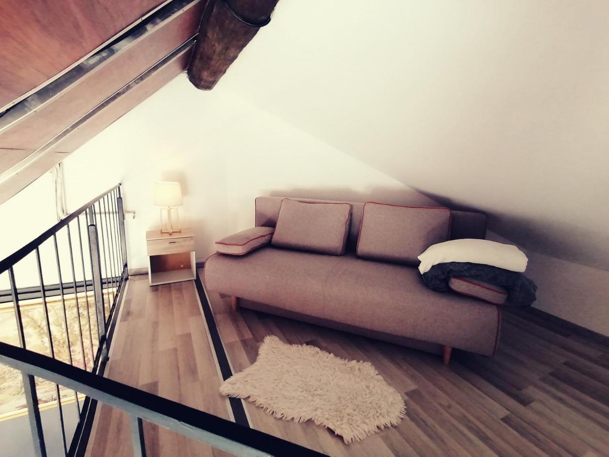 Savoya Nr2 Loft Studio Old City Center Self Check-In Workspace 蒂米什瓦拉 外观 照片