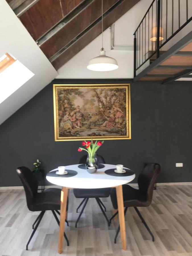 Savoya Nr2 Loft Studio Old City Center Self Check-In Workspace 蒂米什瓦拉 外观 照片