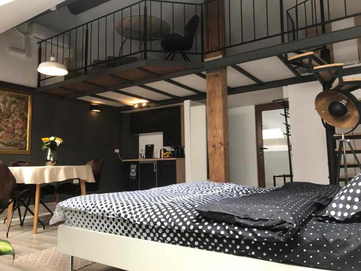 Savoya Nr2 Loft Studio Old City Center Self Check-In Workspace 蒂米什瓦拉 外观 照片