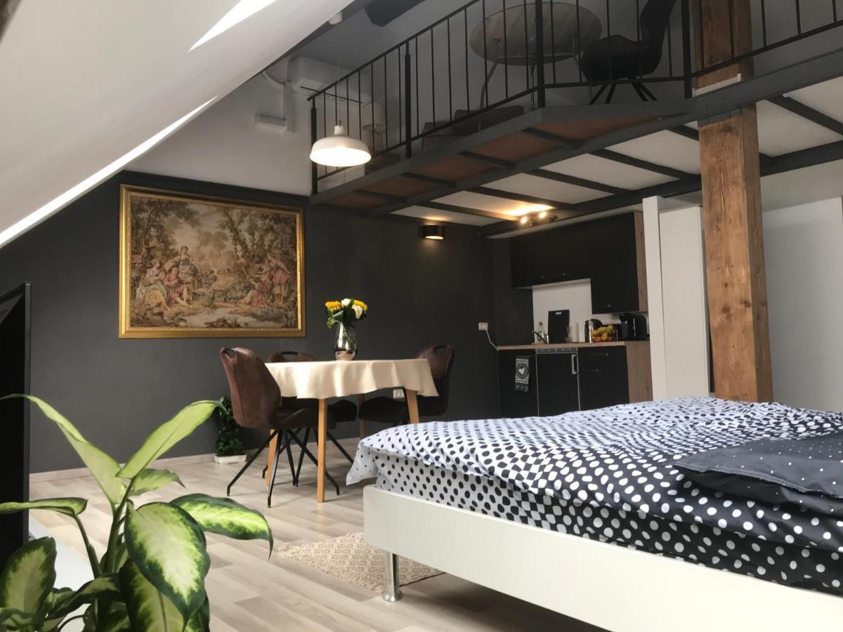 Savoya Nr2 Loft Studio Old City Center Self Check-In Workspace 蒂米什瓦拉 外观 照片