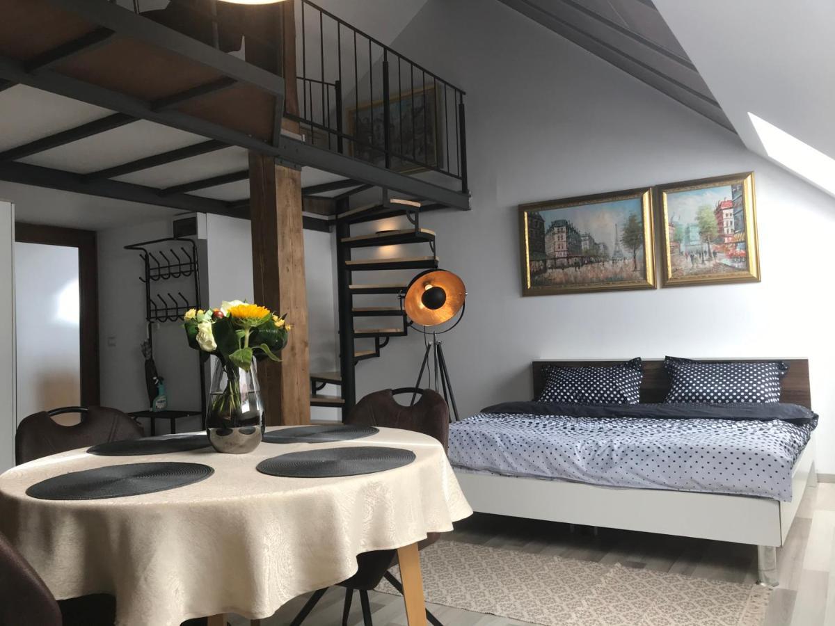 Savoya Nr2 Loft Studio Old City Center Self Check-In Workspace 蒂米什瓦拉 外观 照片